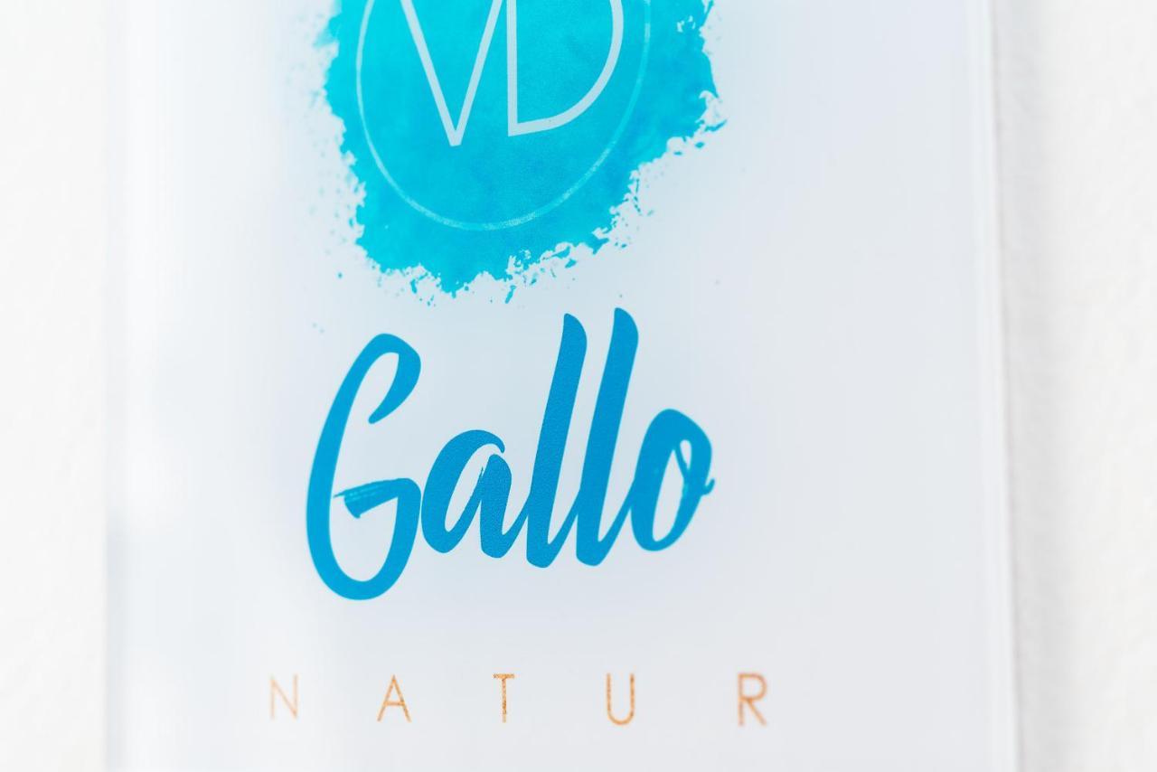 Delmar Natur - Gallo Charco del Palo Exterior photo